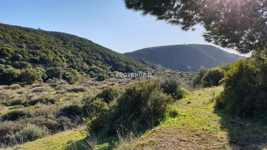 Quinta T0 para Venda em Bordeira Foto 29