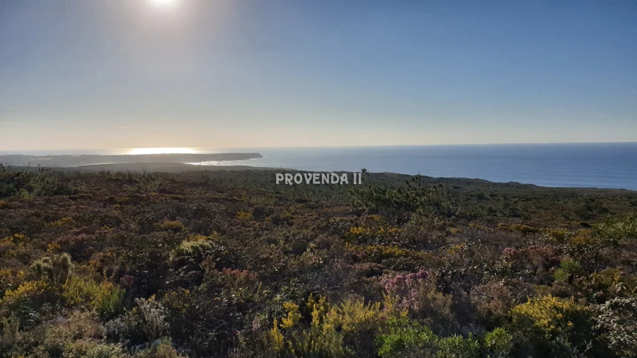 Quinta T0 para Venda em Bordeira Foto 33