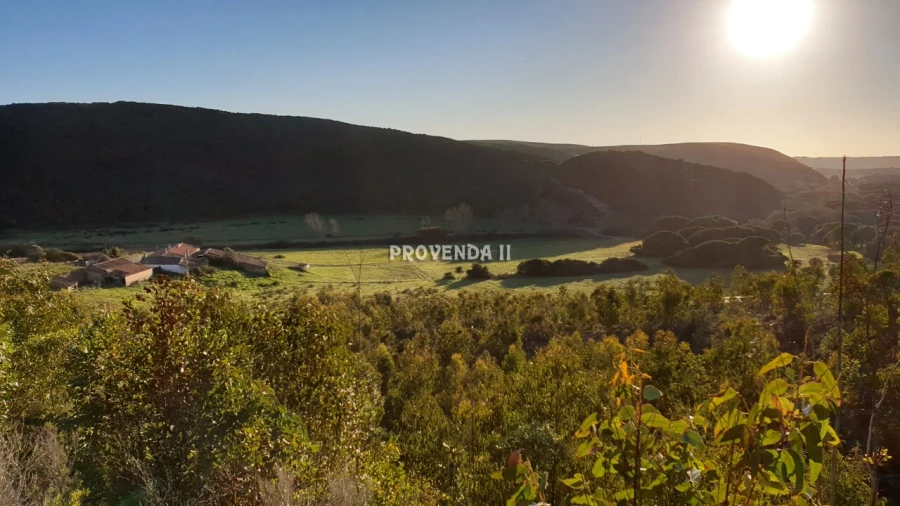 Quinta T0 para Venda em Bordeira Foto 38