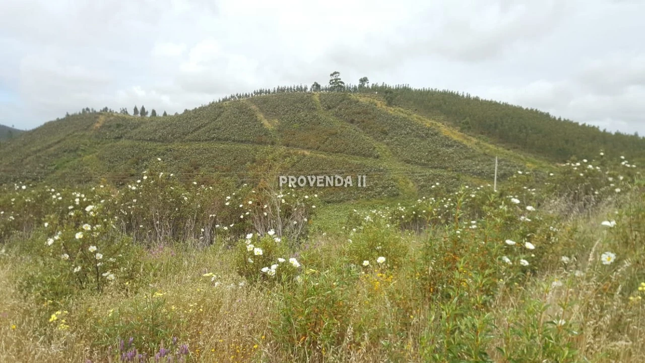 Terreno para Venda em Aljezur Foto 2
