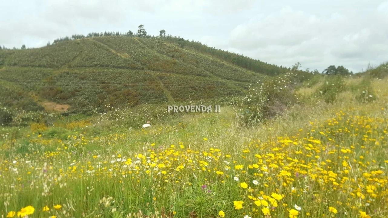 Terreno para Venda em Aljezur Foto 4