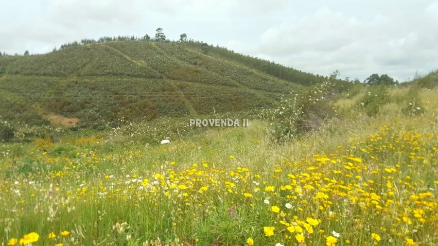 Terreno para Venda em Aljezur Foto 4