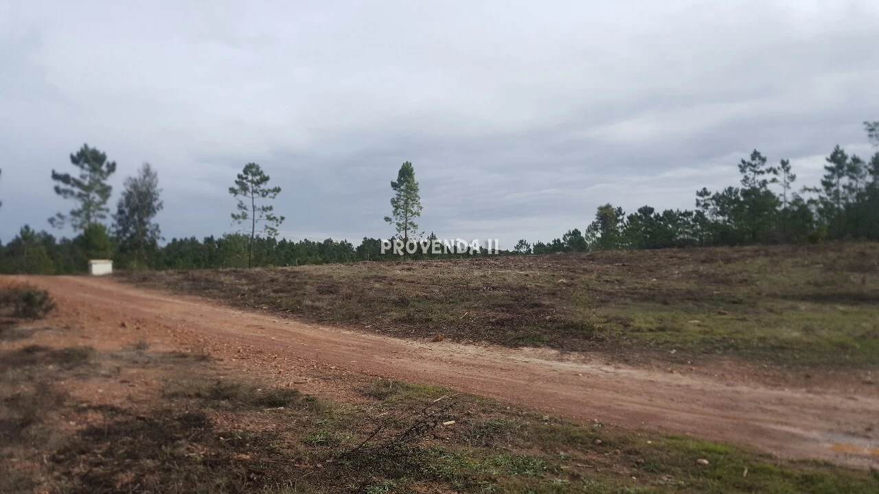 Terreno para Venda em Aljezur Foto 4