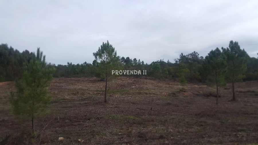 Terreno para Venda em Aljezur Foto 5