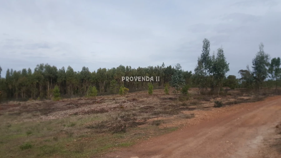 Terreno para Venda em Aljezur Foto 3