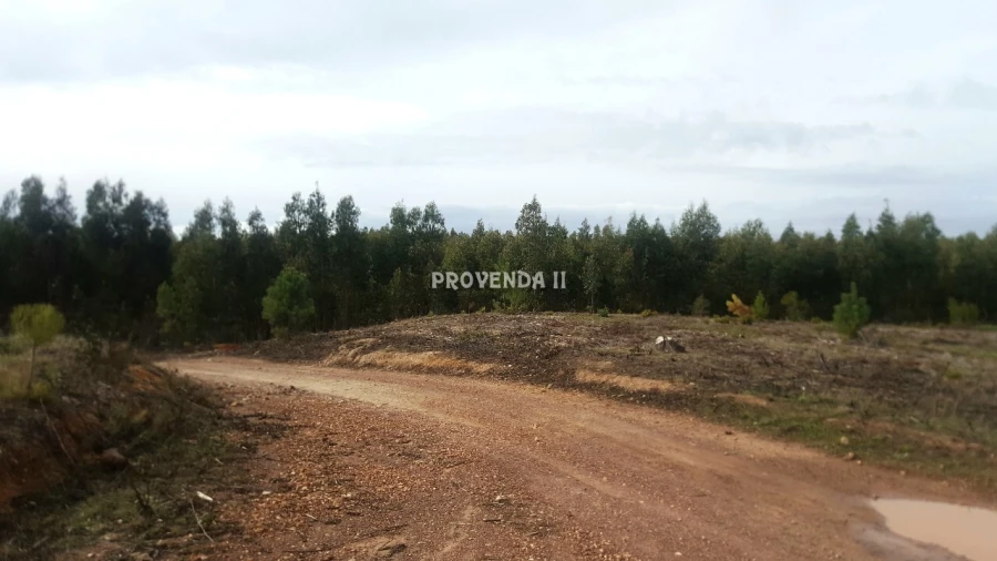 Terreno para Venda em Aljezur Foto 7