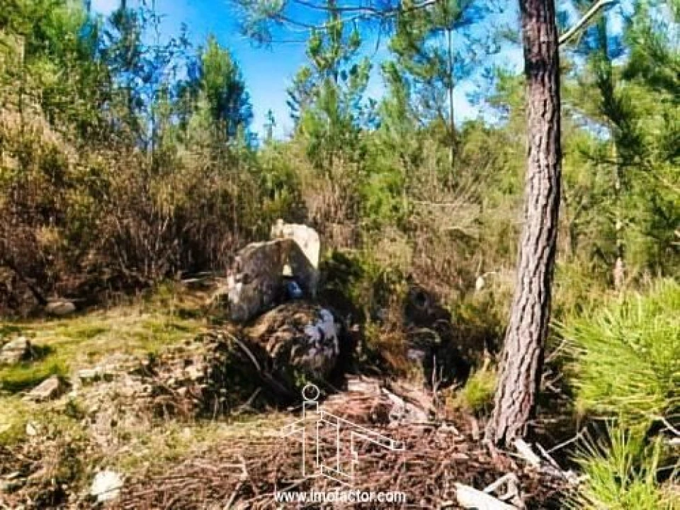 Terreno para Venda em Santo Andre das Tojeiras Foto 19