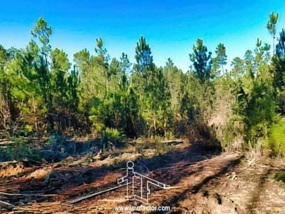 Terreno para Venda em Santo Andre das Tojeiras Foto 17