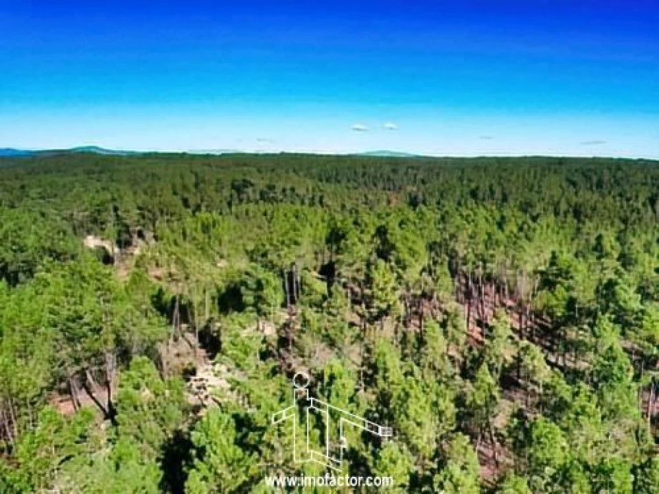 Terreno para Venda em Santo Andre das Tojeiras Foto 15