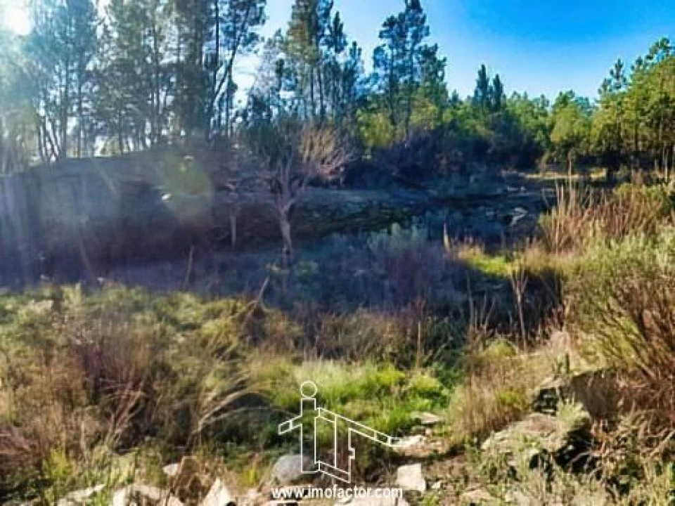 Terreno para Venda em Santo Andre das Tojeiras Foto 11