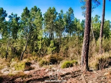 Terreno para Venda em Santo Andre das Tojeiras