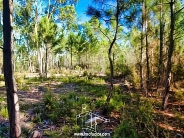 Terreno para Venda em Santo Andre das Tojeiras