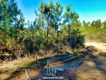 Terreno para Venda em Santo Andre das Tojeiras