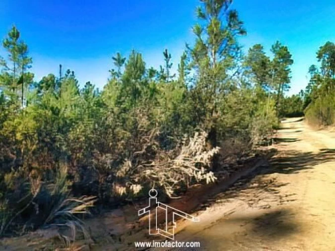 Terreno para Venda em Santo Andre das Tojeiras Foto 18