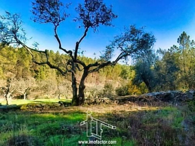 Terreno para Venda em Santo Andre das Tojeiras Foto 13