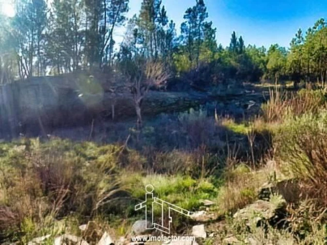 Terreno para Venda em Santo Andre das Tojeiras Foto 11