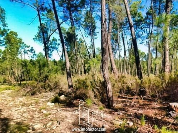 Terreno para Venda em Santo Andre das Tojeiras Foto 21