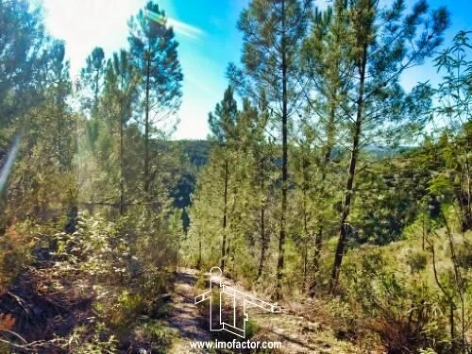 Terreno para Venda em Santo Andre das Tojeiras Foto 5