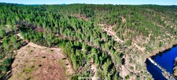 Terreno para Venda em Santo Andre das Tojeiras