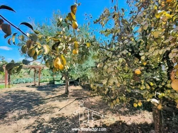 Moradia T5 para Venda em Santo Andre das Tojeiras Foto 10