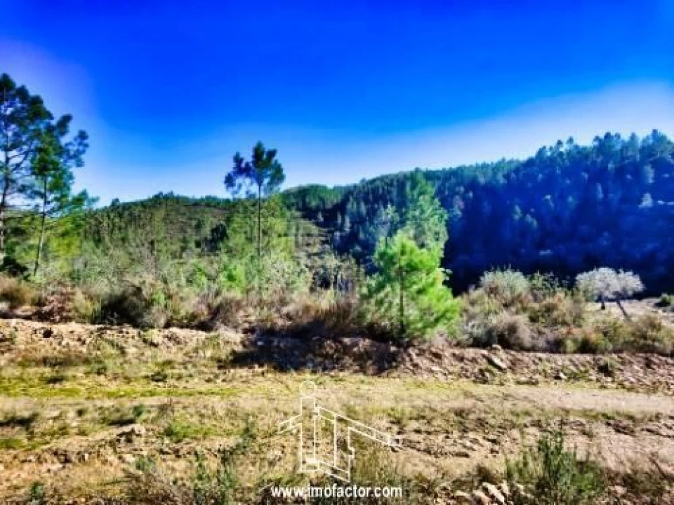 Terreno para Venda em Santo Andre das Tojeiras Foto 12