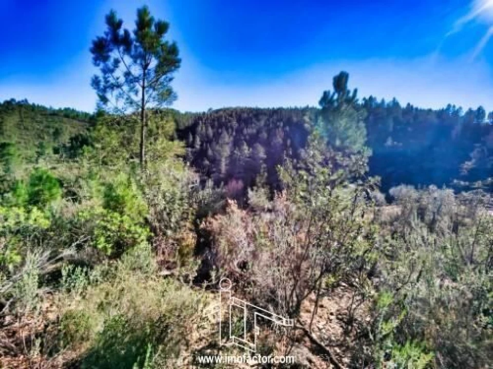 Terreno para Venda em Santo Andre das Tojeiras Foto 11