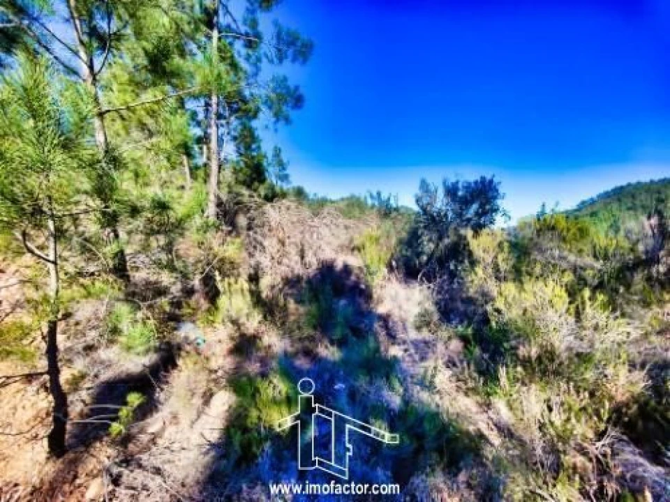 Terreno para Venda em Santo Andre das Tojeiras Foto 10