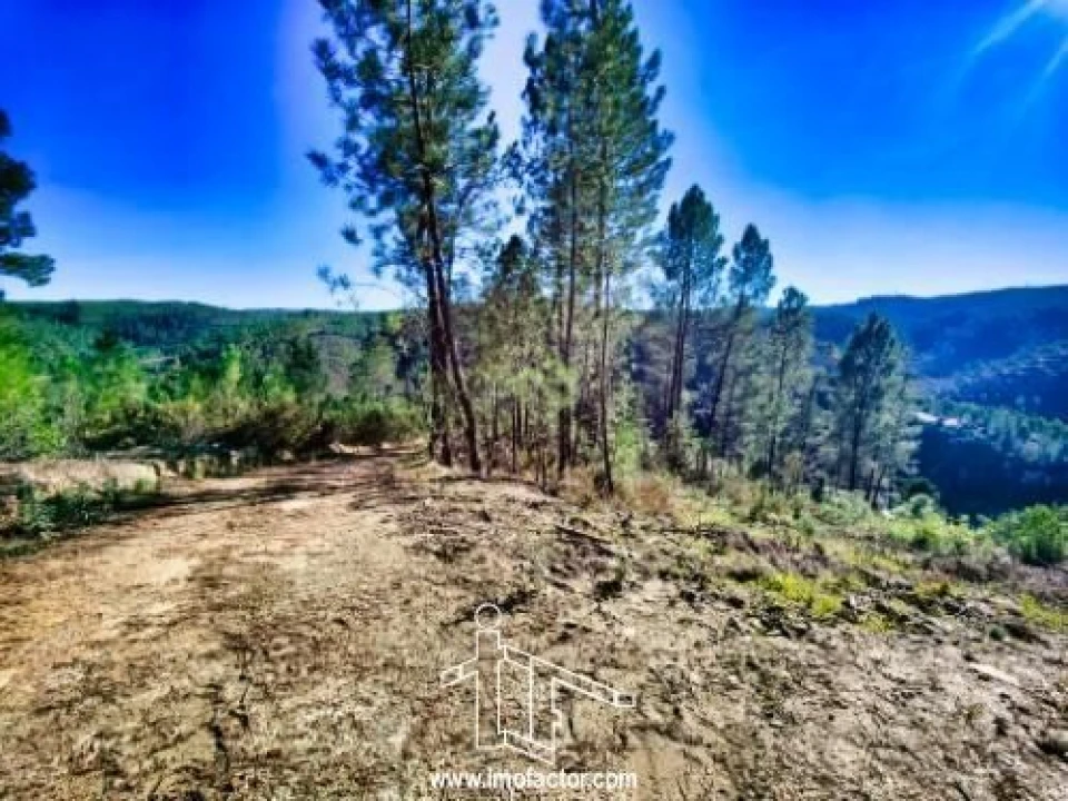 Terreno para Venda em Santo Andre das Tojeiras Foto 7