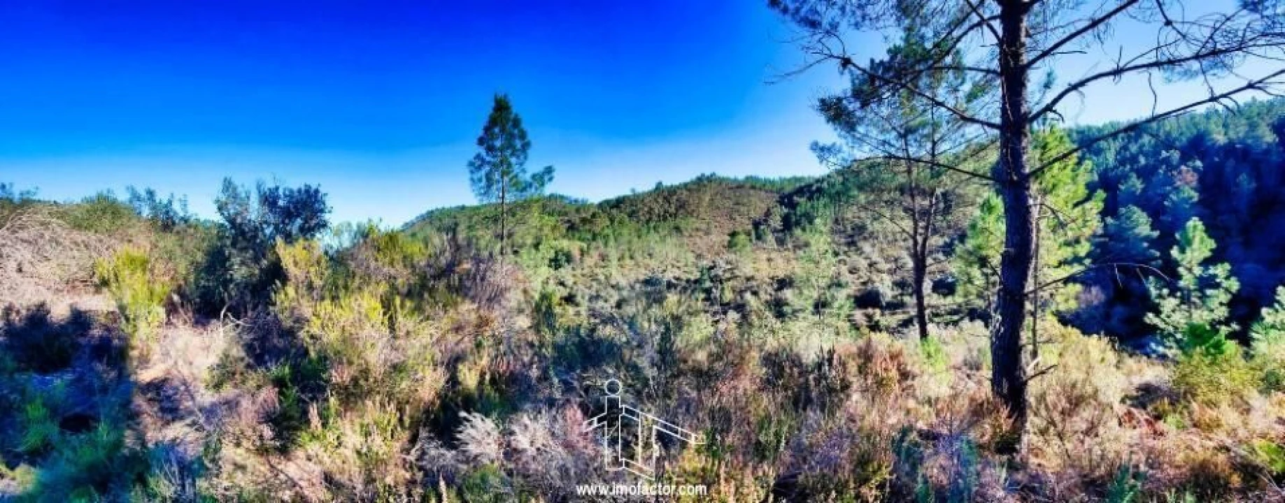 Terreno para Venda em Santo Andre das Tojeiras Foto 16