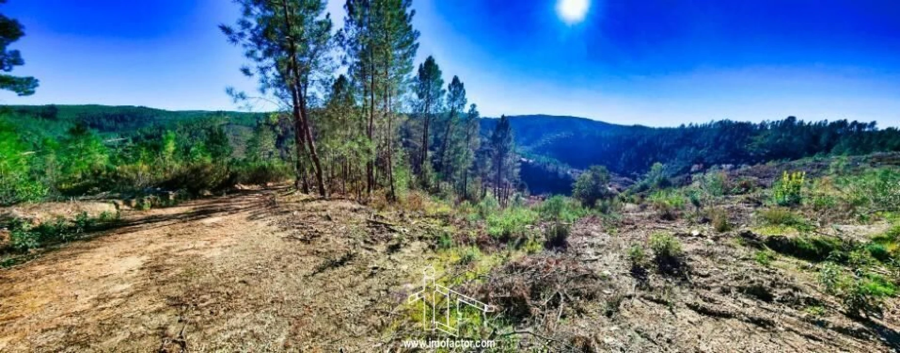 Terreno para Venda em Santo Andre das Tojeiras Foto 15