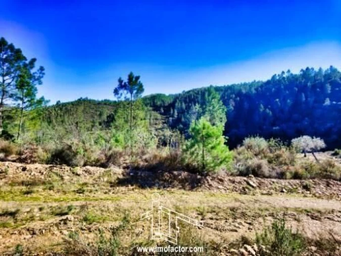 Terreno para Venda em Santo Andre das Tojeiras Foto 12