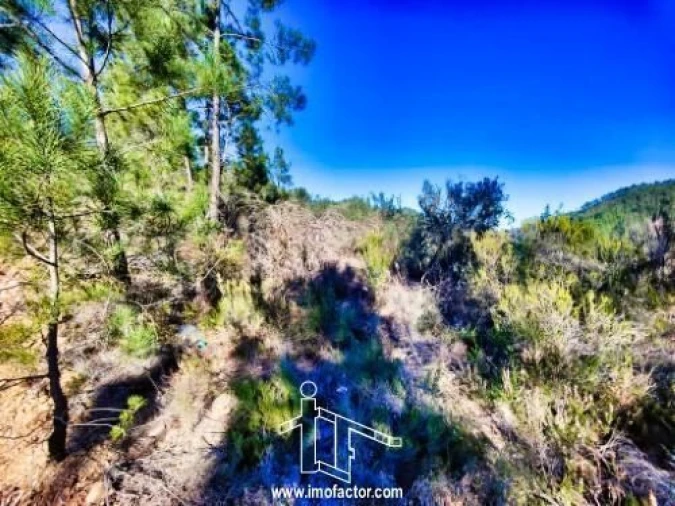 Terreno para Venda em Santo Andre das Tojeiras Foto 10