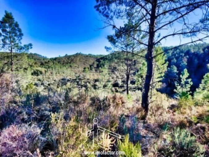 Terreno para Venda em Santo Andre das Tojeiras Foto 9