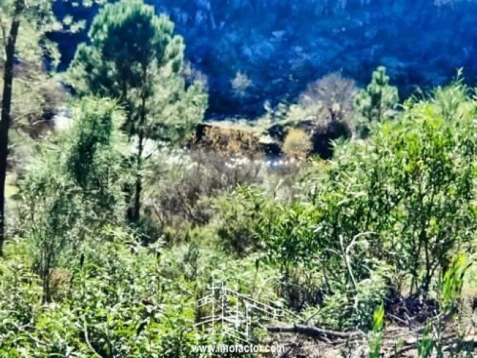 Terreno para Venda em Santo Andre das Tojeiras Foto 8