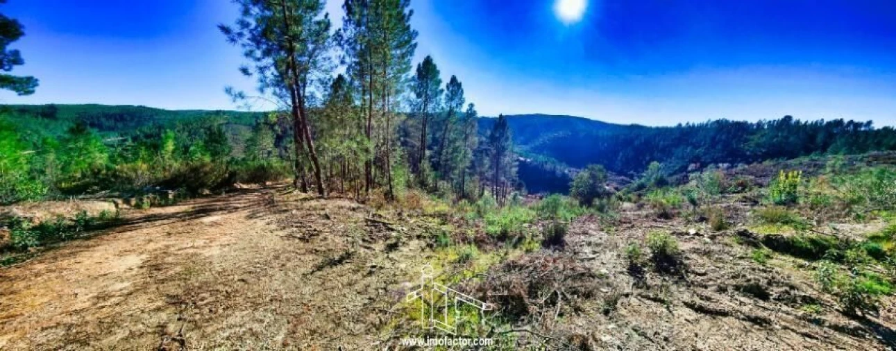 Terreno para Venda em Santo Andre das Tojeiras Foto 15