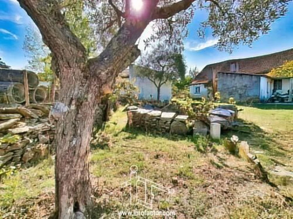 Terreno para Venda em Vila Velha de Rodão Foto 11