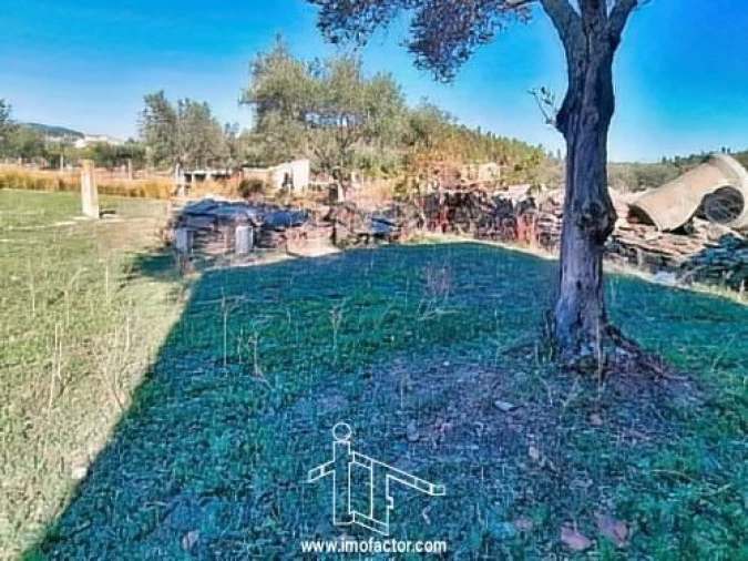 Terreno para Venda em Vila Velha de Rodão Foto 13