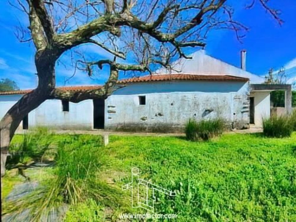 Moradia T1 para Venda em Vila Velha de Rodão Foto 3
