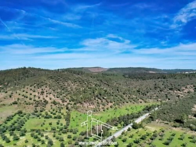 Moradia T1 para Venda em Vila Velha de Rodão Foto 17