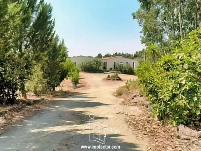 Quinta T5 para Venda em Escalos de Baixo e Mata Foto 5