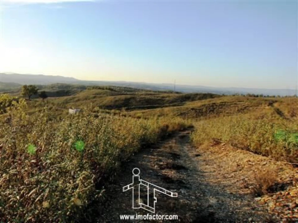 Quinta T0 para Venda em Fratel Foto 4