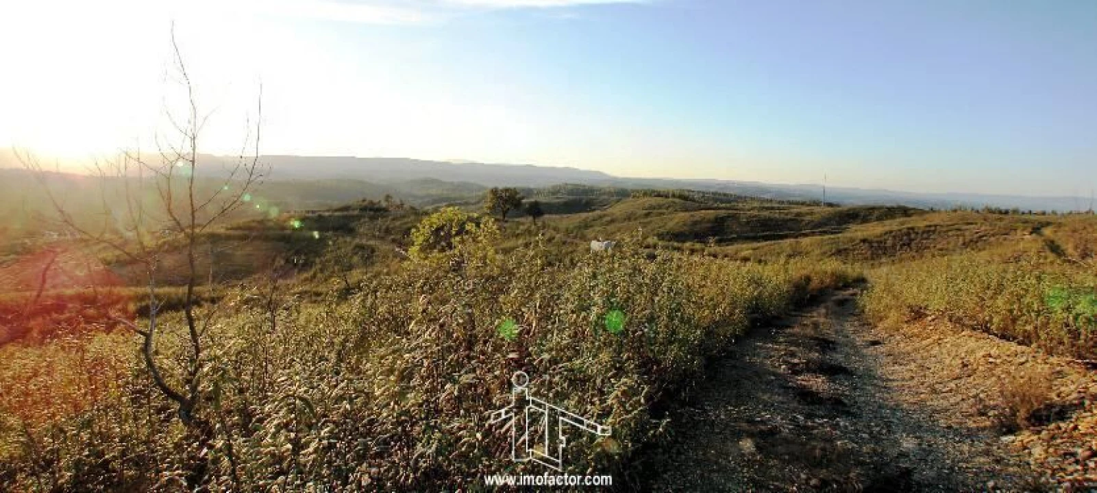 Quinta T0 para Venda em Fratel Foto 8