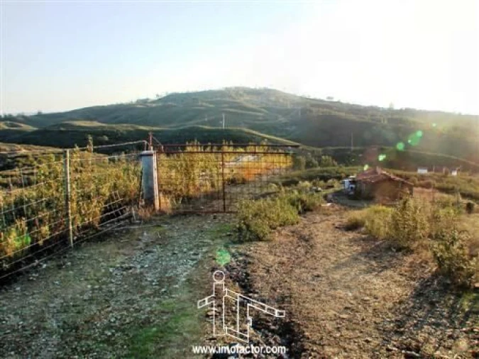 Quinta T0 para Venda em Fratel Foto 5