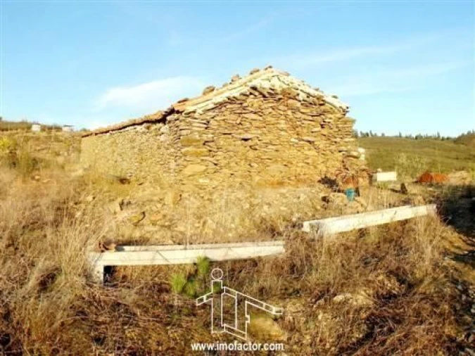 Quinta T0 para Venda em Fratel Foto 2