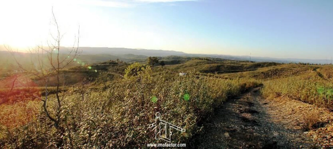 Quinta T0 para Venda em Fratel Foto 8