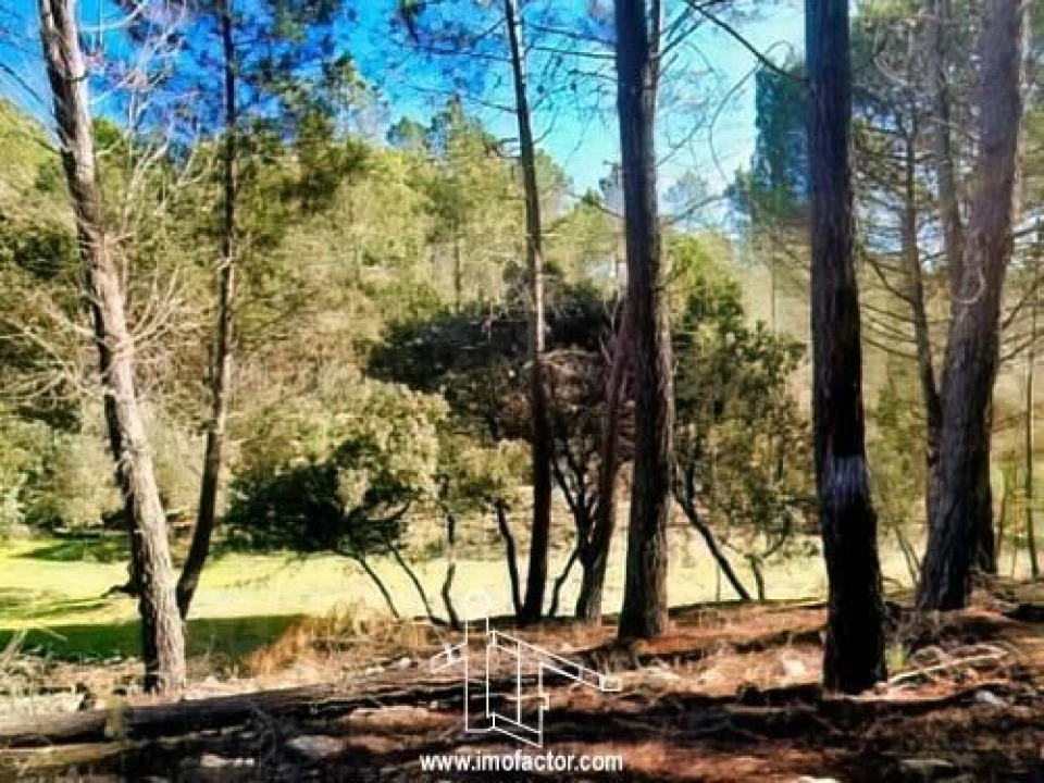 Quinta T0 para Venda em Santo Andre das Tojeiras Foto 21