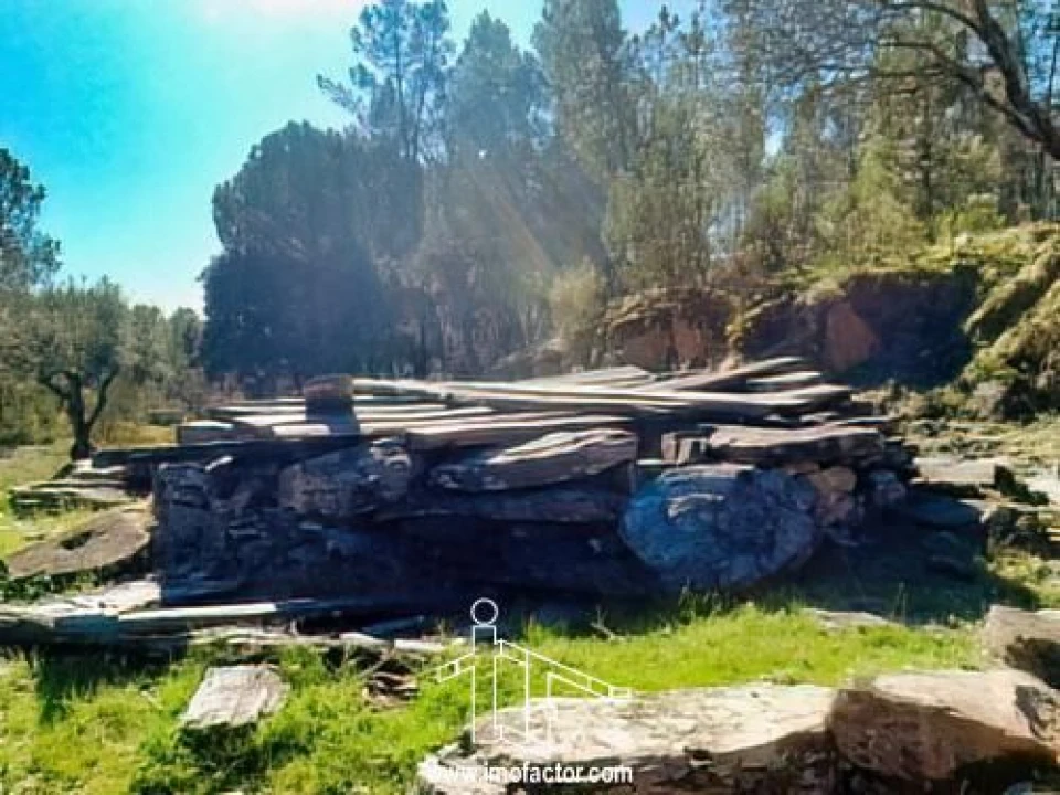 Quinta T0 para Venda em Santo Andre das Tojeiras Foto 18