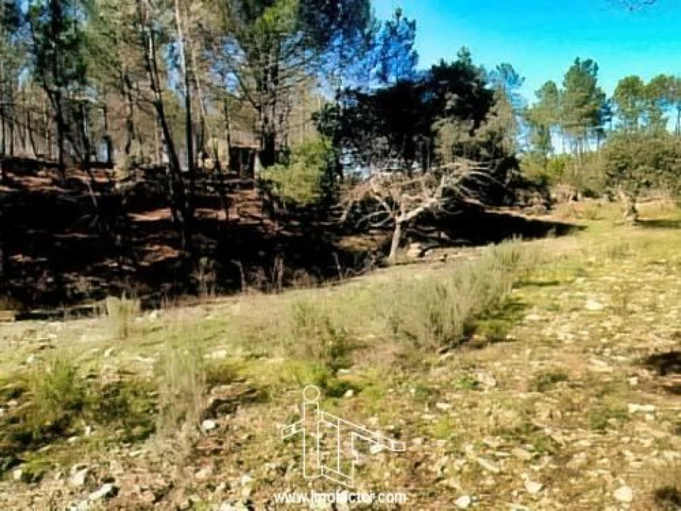 Quinta T0 para Venda em Santo Andre das Tojeiras Foto 16