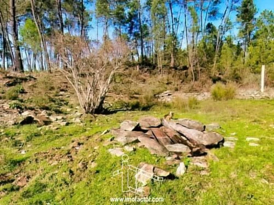 Quinta T0 para Venda em Santo Andre das Tojeiras Foto 9