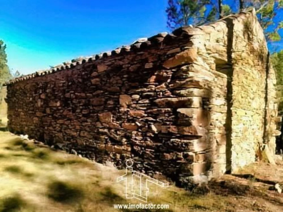 Quinta T0 para Venda em Santo Andre das Tojeiras Foto 3